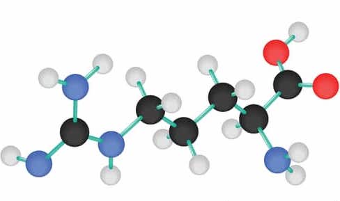 L-Arginine - giúp cân bằng hoocmon tự nhiên cho cơ thể