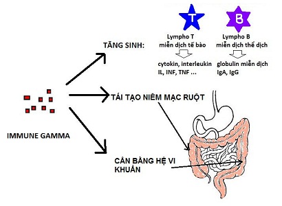 Công Dụng 1