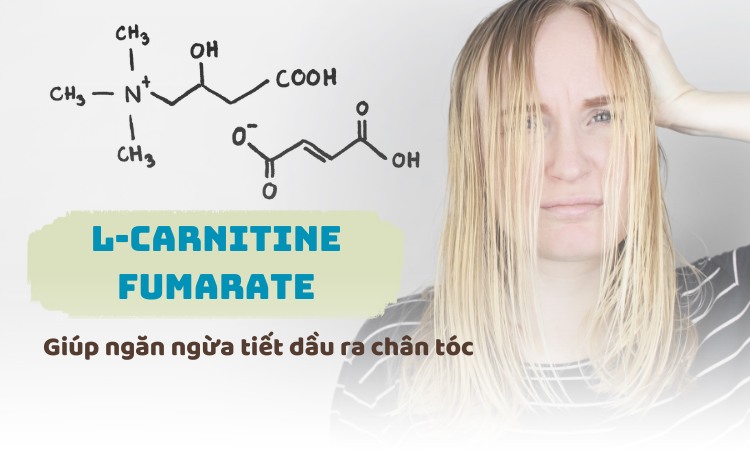 L-carnitine fumarate - Hoạt chất giúp ngăn ngừa tiết dầu ra chân tóc