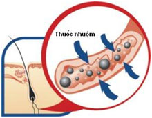 Nhuộm tóc - lợi hay hại?