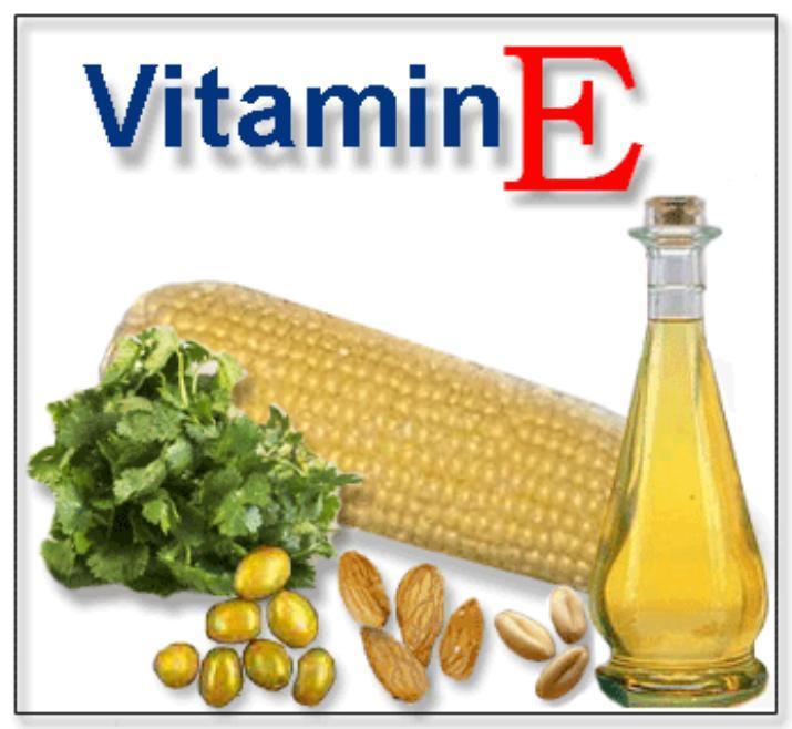 6. Vitamin E 1