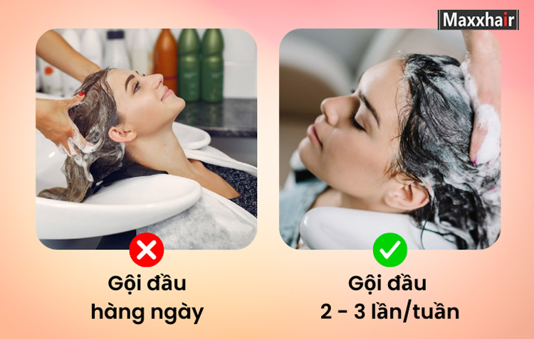 Gội đầu mỗi ngày có thể khiến tóc khô xơ, dễ gãy rụng