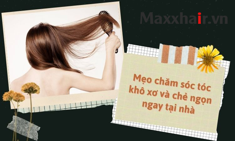 Mẹo chăm sóc tóc khô xơ và chẻ ngọn ngay tại nhà