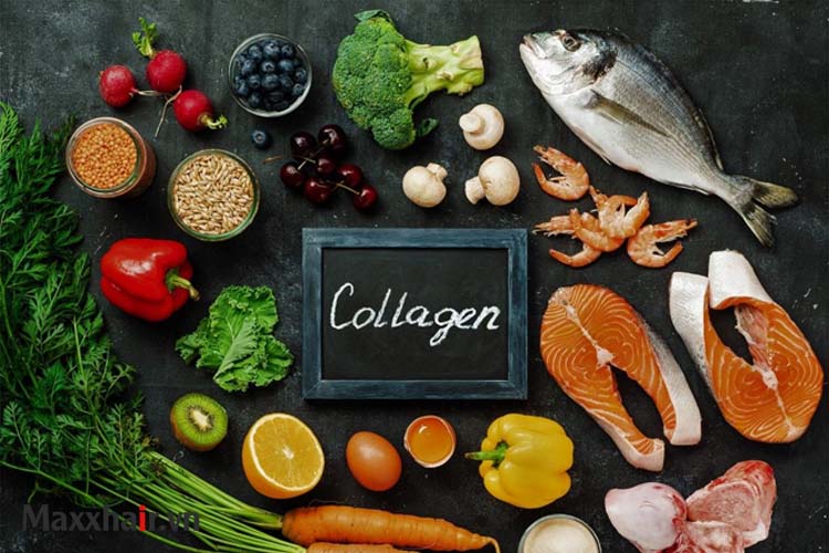 13. Collagen 1