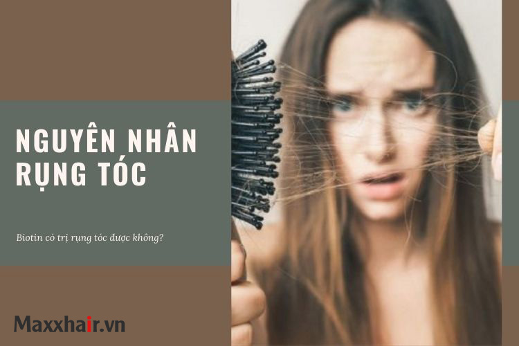 Nguyên nhân dẫn đến hiện tượng rụng tóc 1