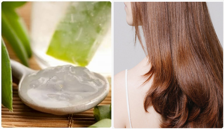 Gel nha đam giúp tóc chắc khỏe, suôn mượt