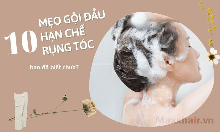 Tóc rụng nhiều khi gội đầu - nguyên nhân, cách chăm sóc