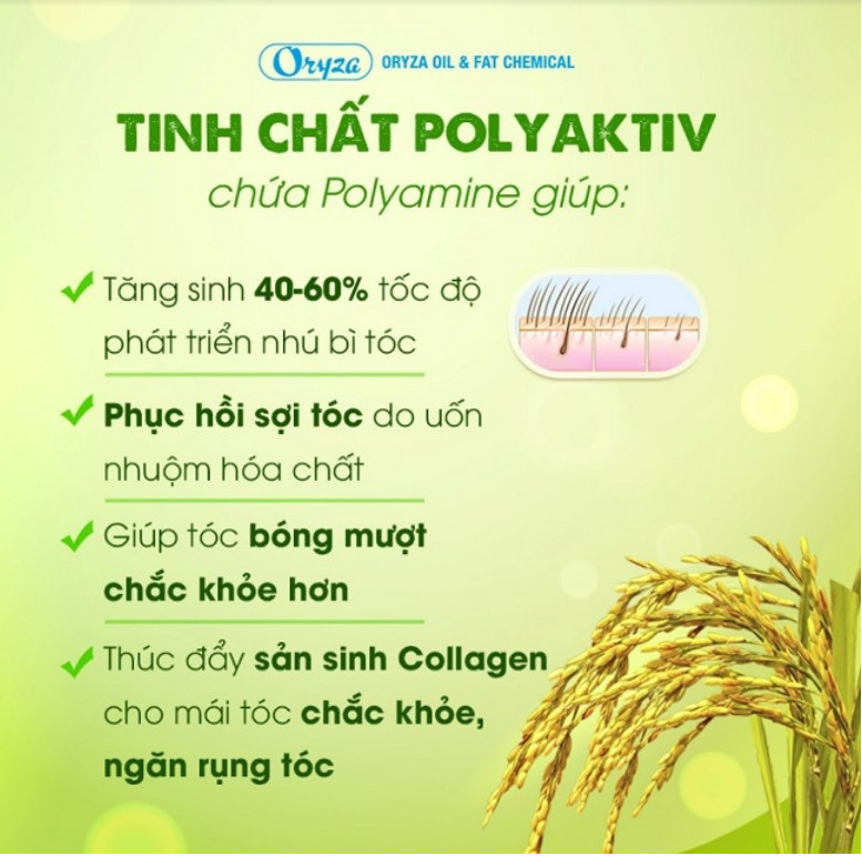 Phát hiện mới thảo dược Polyaktiv giúp tóc mọc nhanh gấp 3 lần 1