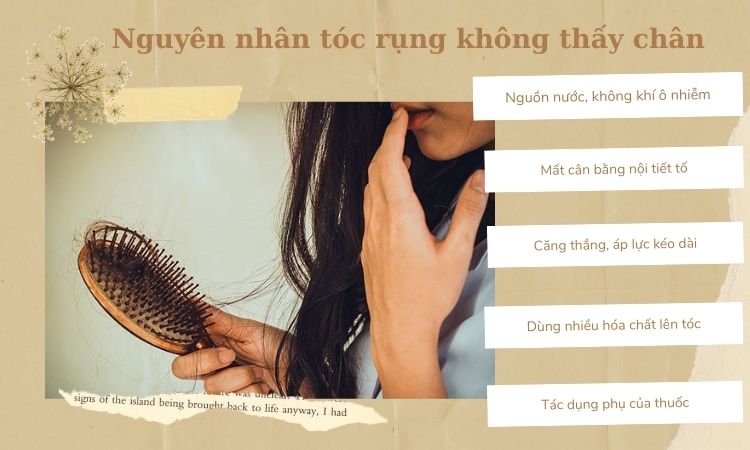 Nguyên nhân tóc rụng không có chân tóc 1