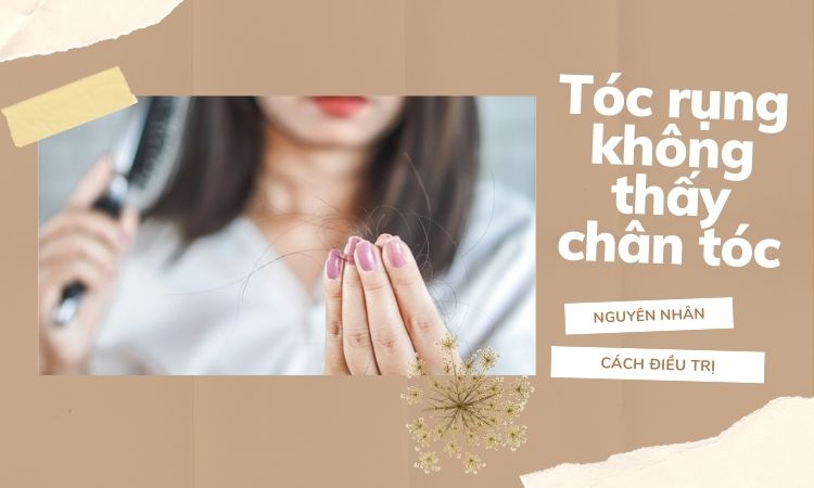 Tóc rụng không thấy chân tóc - nguyên nhân, cách trị