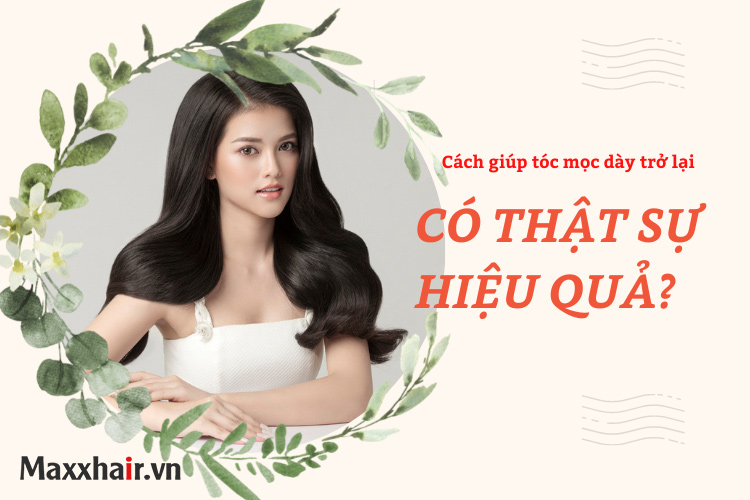 Tiết lộ 11 cách giúp tóc mọc dày trở lại (hướng dẫn chi tiết)