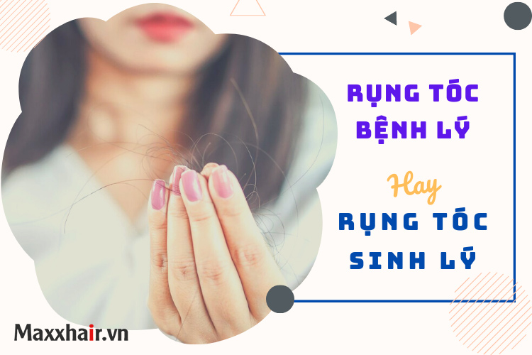 Phân biệt rụng tóc bệnh lý - rụng tóc sinh lý và cách cải thiện