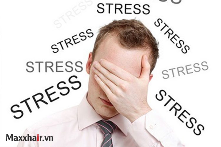 Căng thẳng, stress 1