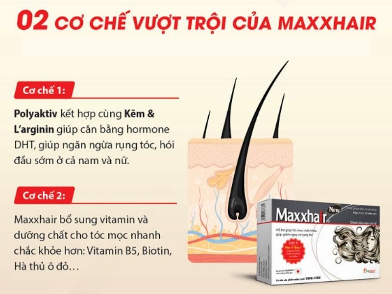 Maxxhair hỗ trợ giảm rụng tóc, kích thích tóc mọc nhanh, chắc khỏe 1