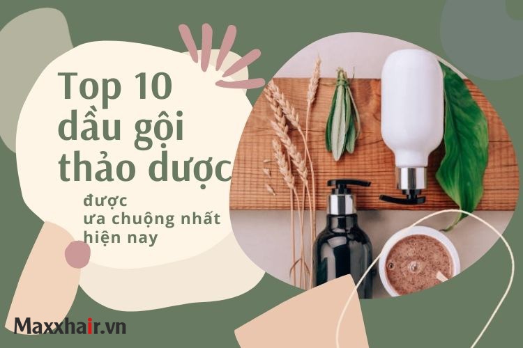 Tổng hợp 8 cách làm dầu gội thảo dược giúp mọc tóc nhanh hiệu quả nhất