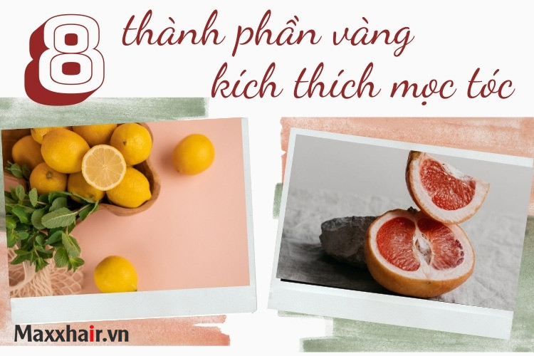 8 nguyên liệu kích thích mọc tóc hiệu quả bất ngờ 1