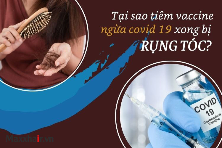 Tại sao tiêm vaccine covid 19 xong bị rụng tóc?