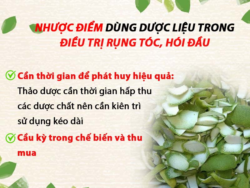 Nhược điểm của việc sử dụng thảo dược trong điều trị bệnh rụng tóc, hói đầu: 1