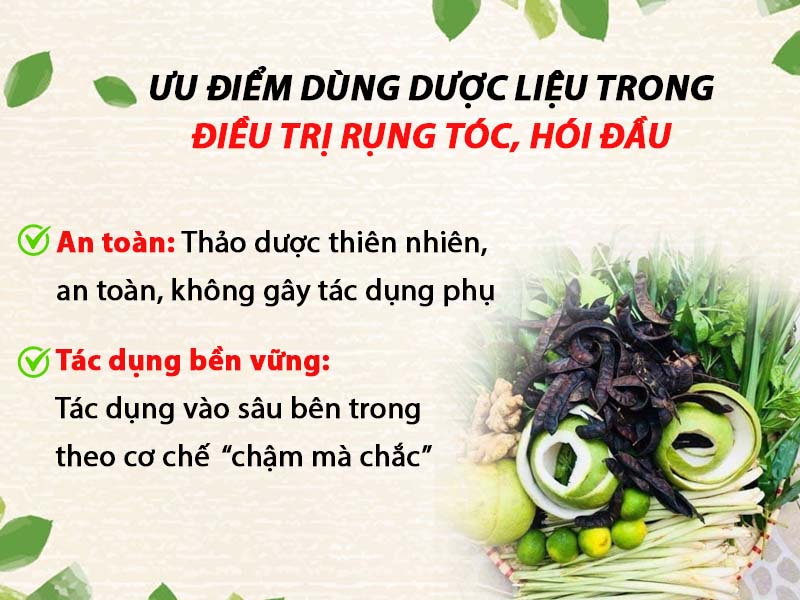 Ưu điểm của việc sử dụng thảo dược trong điều trị bệnh rụng tóc hói đầu 1