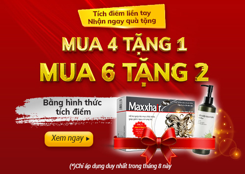 Tích điểm Maxxhair Nhận ngàn Quà tặng trong Tháng 8.2022