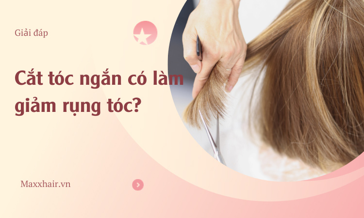 Cắt tóc ngắn có làm giảm rụng tóc không?