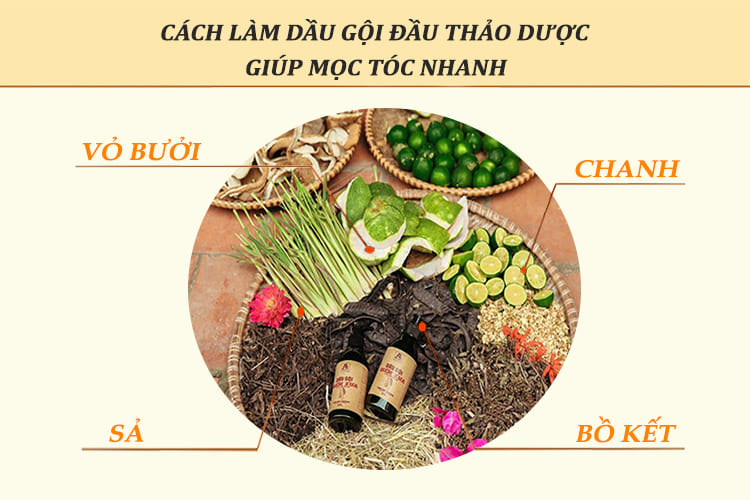 Các cách làm dầu gội thảo dược giúp mọc tóc nhanh ngay tại nhà