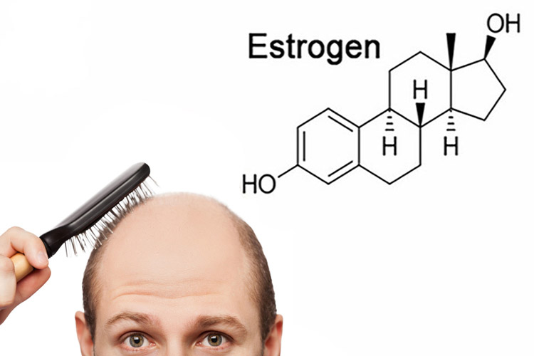 Mất cân bằng nội tiết tố - nguyên nhân chính gây ra bệnh đầu hói ở nam và nữ