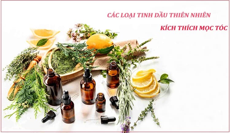 Các loại tinh dầu giúp kích thích mọc tóc nhanh