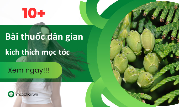 10 Bài thuốc dân gian giúp mọc tóc nhanh mang về hiệu quả tối ưu nhất